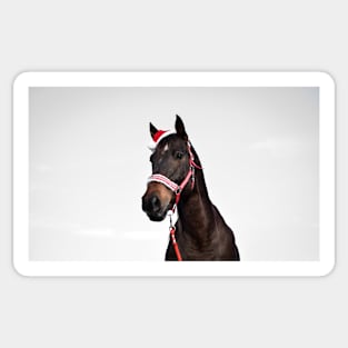 christmas horse photo Sticker